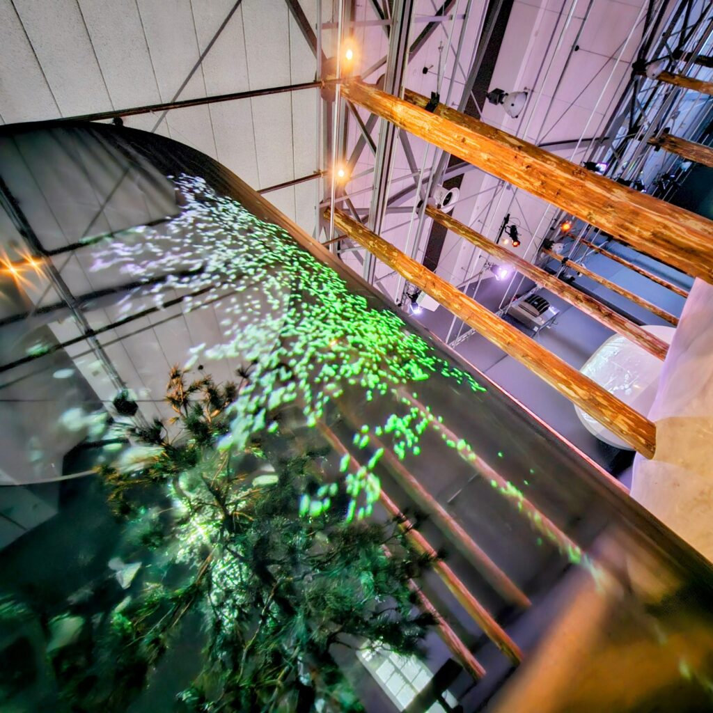 A reflective, curved surface with green light patterns and a tree reflection is inside an industrial-style building with exposed beams, wooden columns, and a high ceiling.
