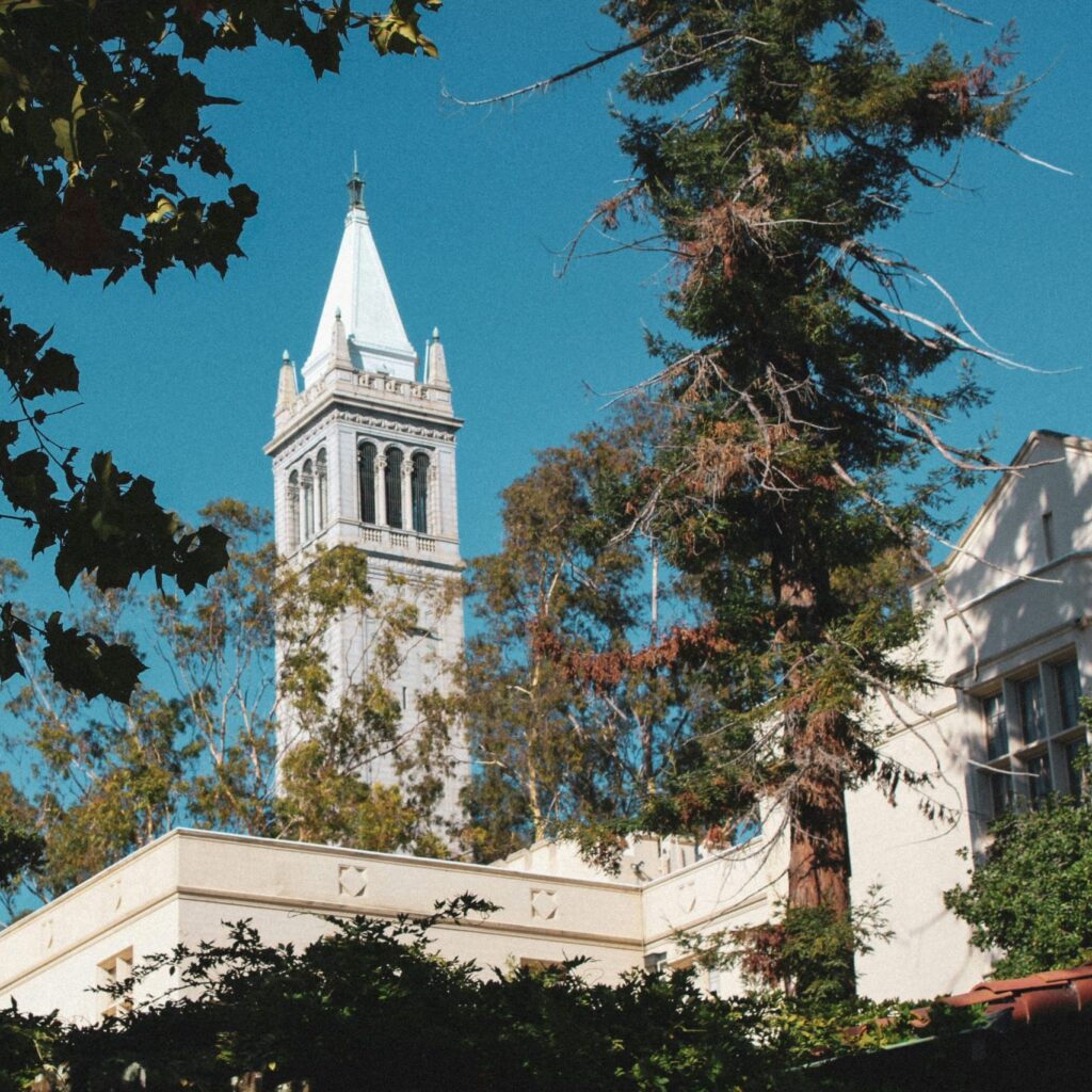 A tall clock tower rises above trees and a light-coloured building under a clear blue sky, with leafy branches framing the scene.