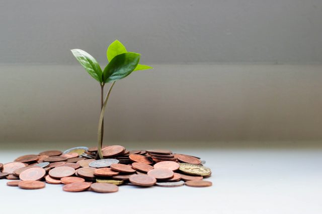A small green plant sprouting from a pile of assorted coins, symbolising financial growth or investment. The background is plain and softly lit.