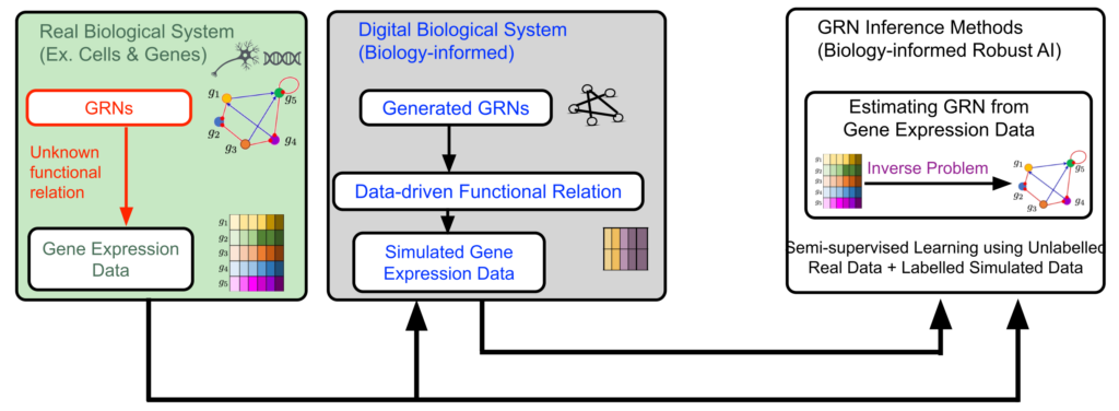 picture of diagram