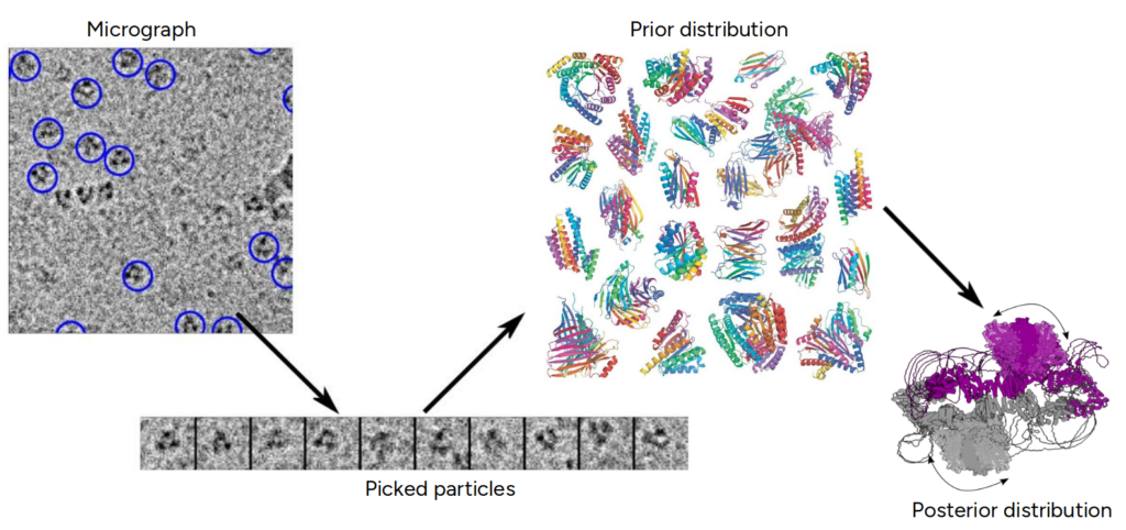 image for the project called Recovering the dynamics of biological macromolecules using cryo-EM data with data- driven prior