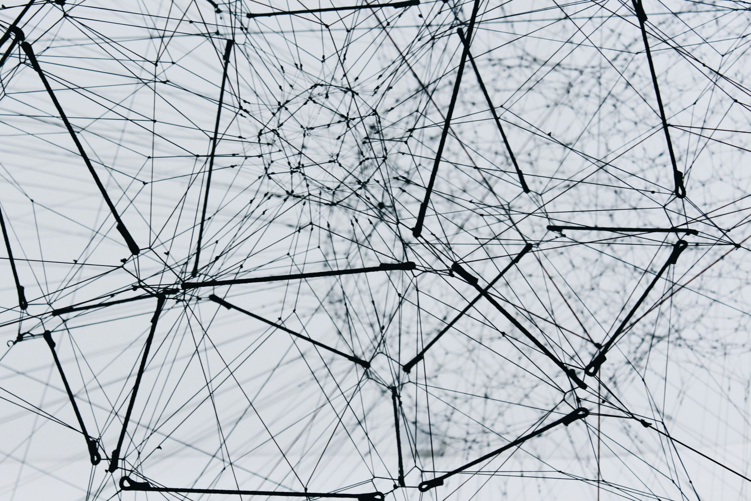 A close-up view of a complex network of black lines and nodes interconnected in a web-like pattern against a light, blurred background. The image evokes the idea of connectivity, networks, or neural pathways.