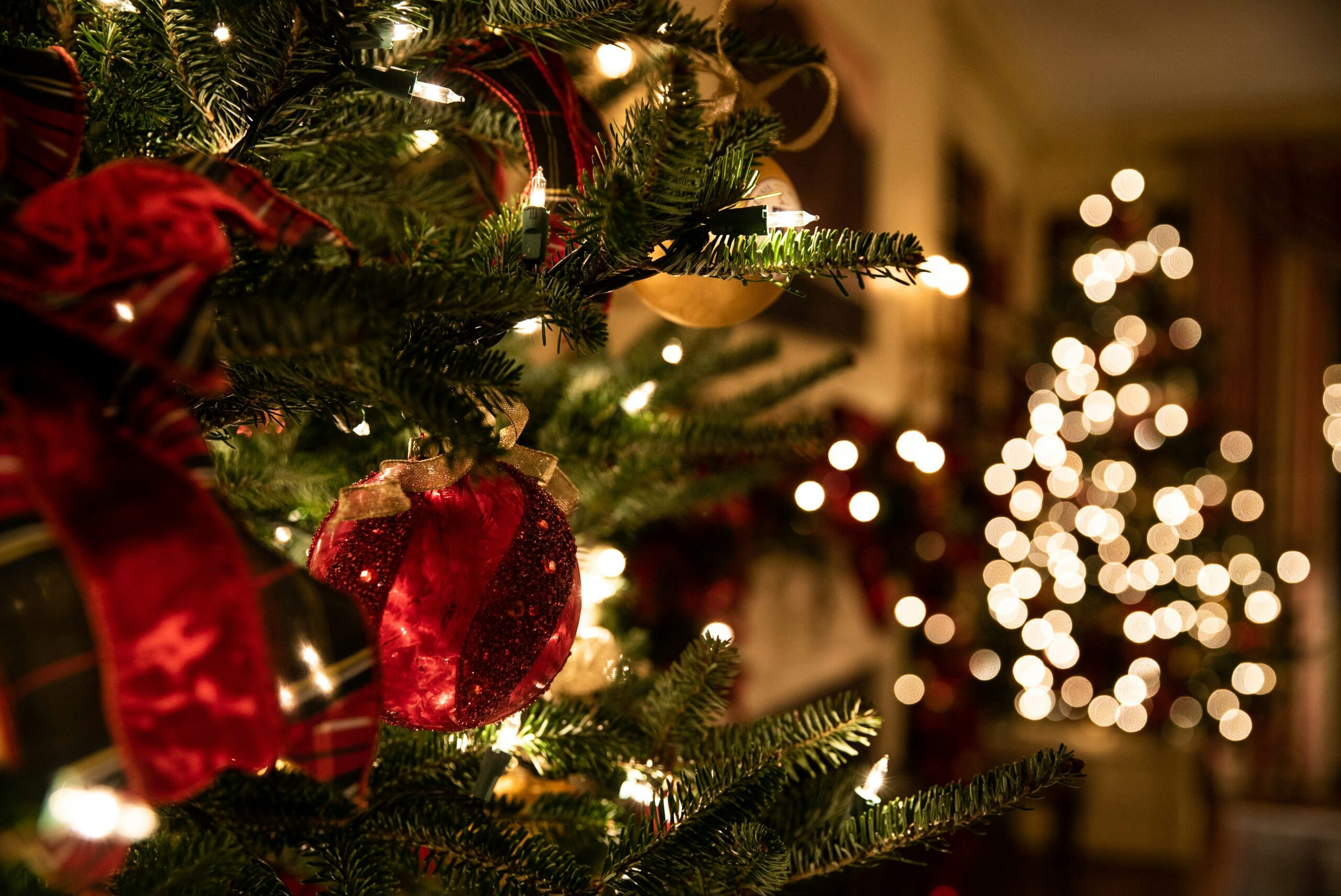 A close-up of a decorated Christmas tree with baubles and ribbon, surrounded by warm white fairy lights. Another illuminated Christmas tree is visible, blurred in the background.