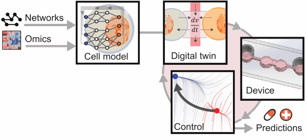 Flowchart showing Networks and Omics feeding into a Cell model, progressing to a Digital twin, then to Device, with arrows indicating Control and resulting in Predictions depicted by tablets and a plus sign.