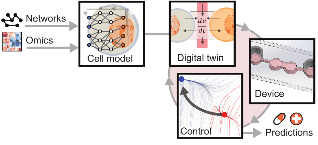 Flowchart showing Networks and Omics feeding into a Cell model, progressing to a Digital twin, then to Device, with arrows indicating Control and resulting in Predictions depicted by tablets and a plus sign.