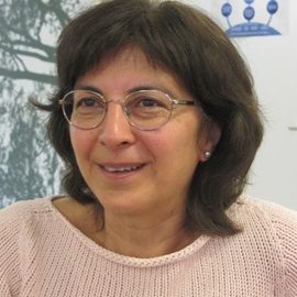 Photo of Simin Nadjm-Tehrani_2