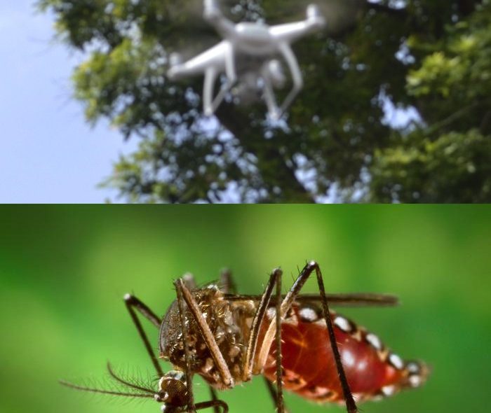 Fighting Dengue Fever with Aerial Drones