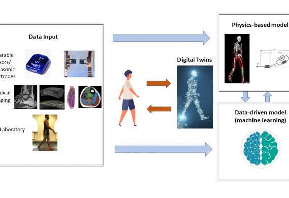 Digital twins of human neuromusculoskeletal system: A new paradigm of personalized medicine in neuro-rehabilitation