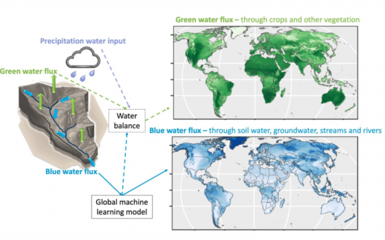 One Earth – Global patterns in water flux partitioning: Irrigated and rainfed agriculture drives asymmetrical flux to vegetation over runoff Graphical