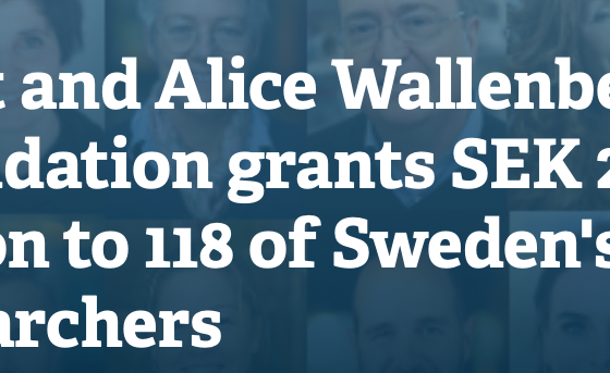 Four Digital Futures faculty members among Sweden’s top researchers granted by Knut and Alice Wallenberg Foundation